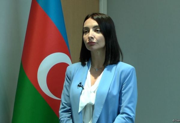 Leyla Abdullayeva Fransa Milli Assambleyasının qətnaməsinə münasibət bildirib