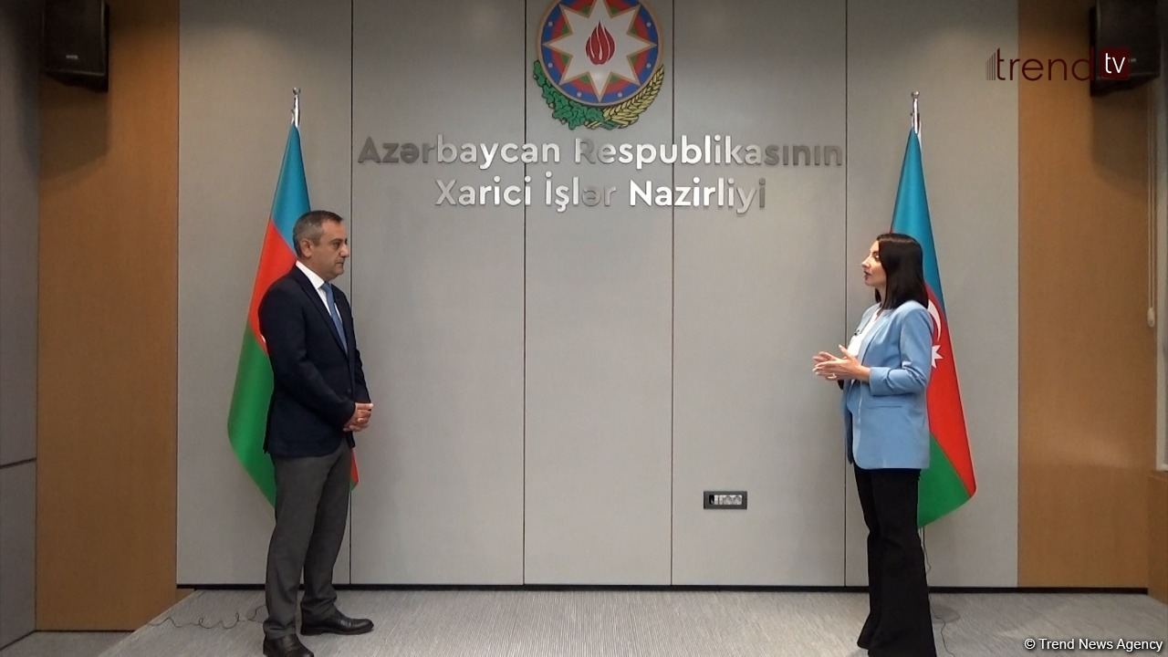 Leyla Abdullayeva Ermənistanın törətdiyi təxribatlardan və son vəziyyətdən danışdı (FOTO/VİDEO)