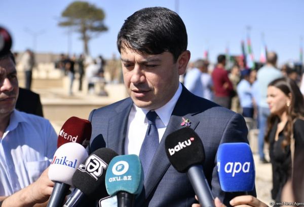 Son üç həftədə xaricdə 40-dan çox aksiya və yürüşlərimiz keçirilib - Komitə sədri