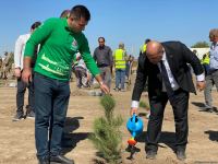 Anım Günündə Ağdamda şəhidlərin xatirəsi anılıb (FOTO)