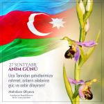 Birinci vitse-prezident Mehriban Əliyeva: Uca Tanrıdan şəhidlərimizə rəhmət, onların ailələrinə güc və səbir diləyirəm (FOTO)