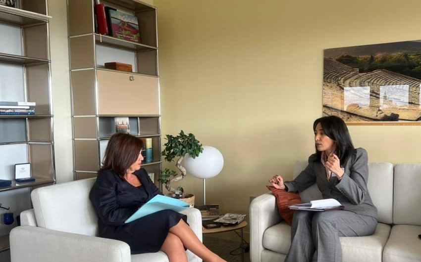 Ombudsman AŞPA-nın Baş katibinə Ermənistanın mina xəritələrinin təqdim edilməsinin vacib olduğunu çatdırıb (FOTO)