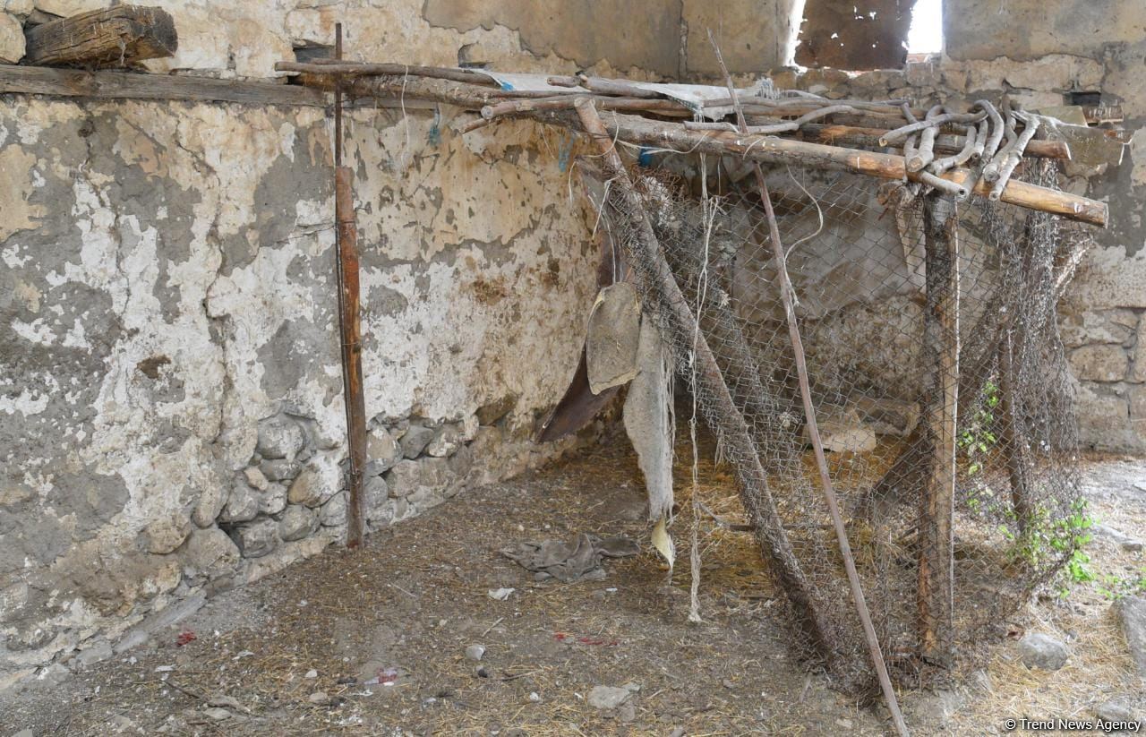 Azərbaycan beyin mərkəzləri I Forumunun iştirakçılarının azad edilmiş ərazilərə səfəri başlayıb (FOTO)