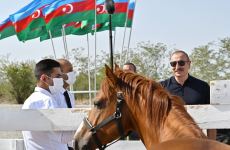 Prezident İlham Əliyev və Birinci xanım Mehriban Əliyeva Ağdamda Atçılıq Nəsilartırma Mərkəzinin təməlqoyma mərasimində iştirak ediblər (YENİLƏNİB) (FOTO/VİDEO)