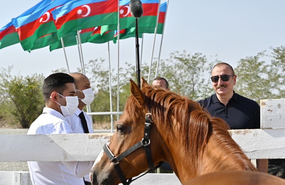 Prezident İlham Əliyev və Birinci xanım Mehriban Əliyeva Ağdamda Atçılıq Nəsilartırma Mərkəzinin təməlqoyma mərasimində iştirak ediblər (YENİLƏNİB) (FOTO/VİDEO)
