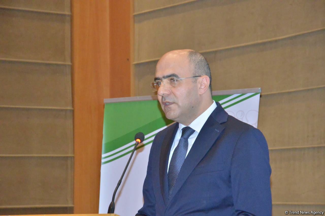 Onkologiya, narkologiya, psixatriya üzrə həkimlərin əməkhaqqı ilə bağlı layihə hökumətə təqdim olunub - Nazir müavini