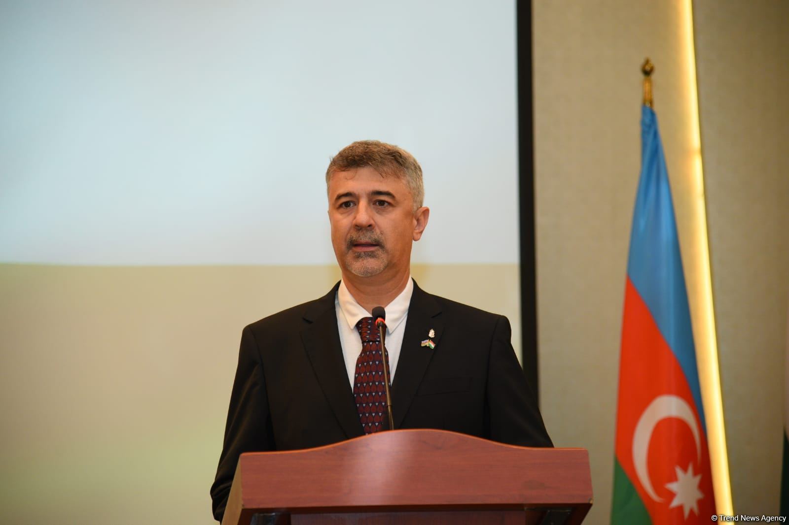 Macarıstan Azərbaycan qazını öz enerji kompleksinə daxil etmək niyyətindədir - səfir