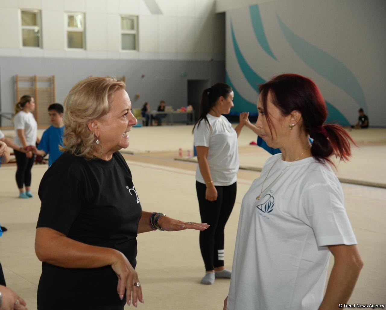 Gimnastika Federasiyasının təşkilatçılığı ilə Bakıda Xüsusi Olimpiada üzrə məşqçilik və hakimlik kursları keçirilir (FOTO)