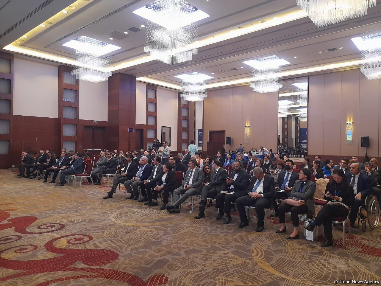 Ombudsmanların və Milli İnsan Hüquqları Təsisatlarının Bakı Beynəlxalq Konfransı başa çatıb (FOTO)