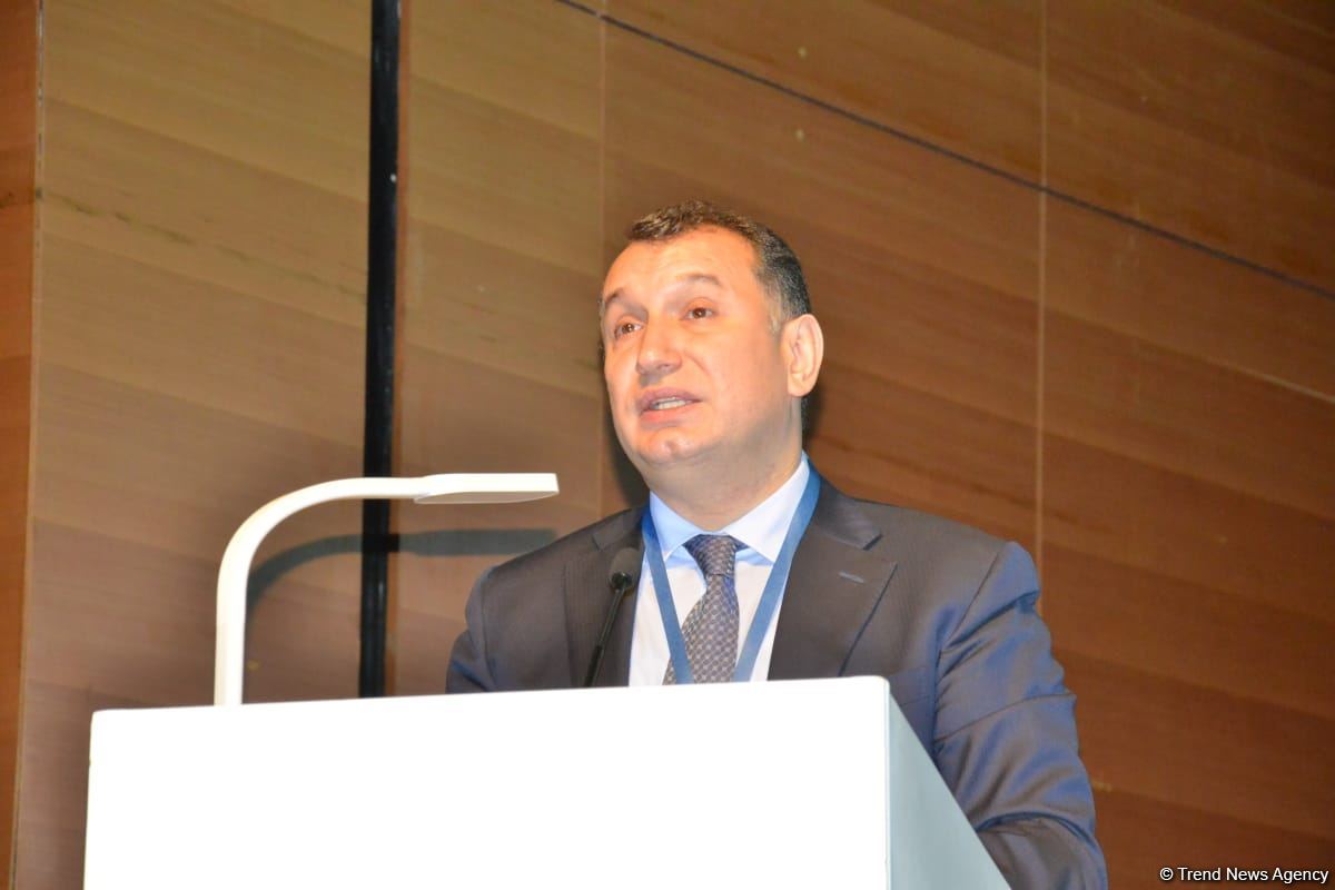 Bakıda 15-ci Verona Avrasiya İqtisadi Forumu keçirilir (FOTO)