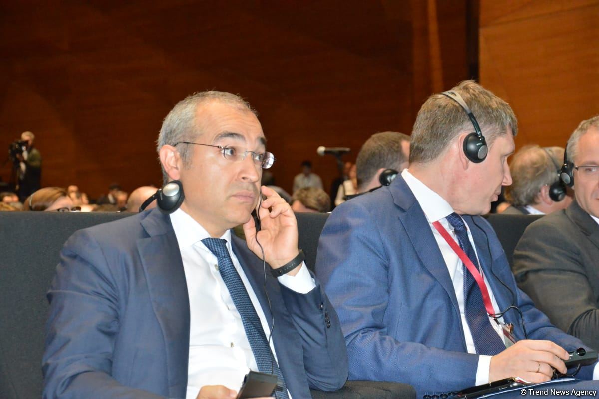 Bakıda 15-ci Verona Avrasiya İqtisadi Forumu keçirilir (FOTO)