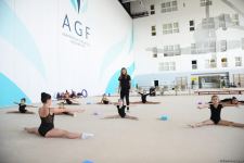 Milli Gimnastika Arenasında Gəncə və Masallı idmançılarının təlim-məşq toplanışı keçirilir (FOTO)