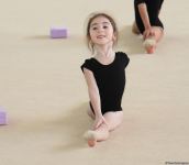 Milli Gimnastika Arenasında Gəncə və Masallı idmançılarının təlim-məşq toplanışı keçirilir (FOTO)