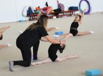 Milli Gimnastika Arenasında Gəncə və Masallı idmançılarının təlim-məşq toplanışı keçirilir (FOTO)
