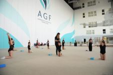 Milli Gimnastika Arenasında Gəncə və Masallı idmançılarının təlim-məşq toplanışı keçirilir (FOTO)