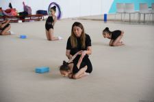 Milli Gimnastika Arenasında Gəncə və Masallı idmançılarının təlim-məşq toplanışı keçirilir (FOTO)