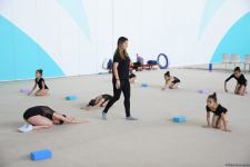 Milli Gimnastika Arenasında Gəncə və Masallı idmançılarının təlim-məşq toplanışı keçirilir (FOTO)