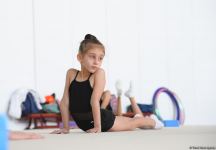 Milli Gimnastika Arenasında Gəncə və Masallı idmançılarının təlim-məşq toplanışı keçirilir (FOTO)