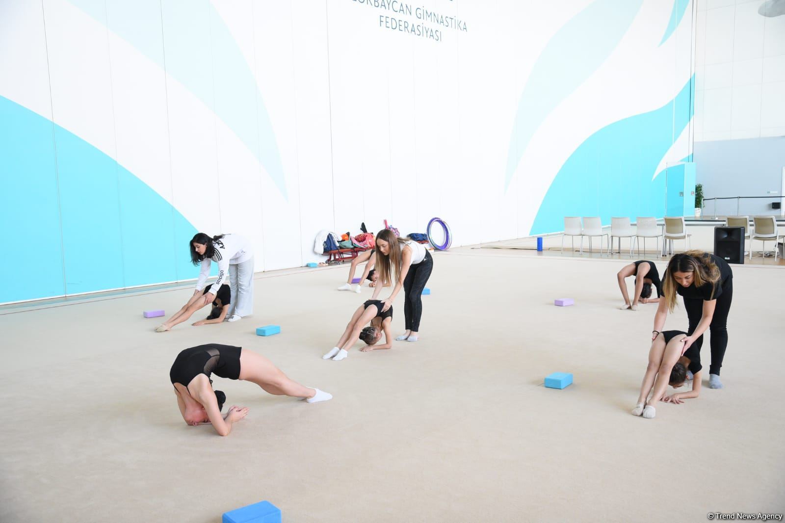 Milli Gimnastika Arenasında Gəncə və Masallı idmançılarının təlim-məşq toplanışı keçirilir (FOTO)