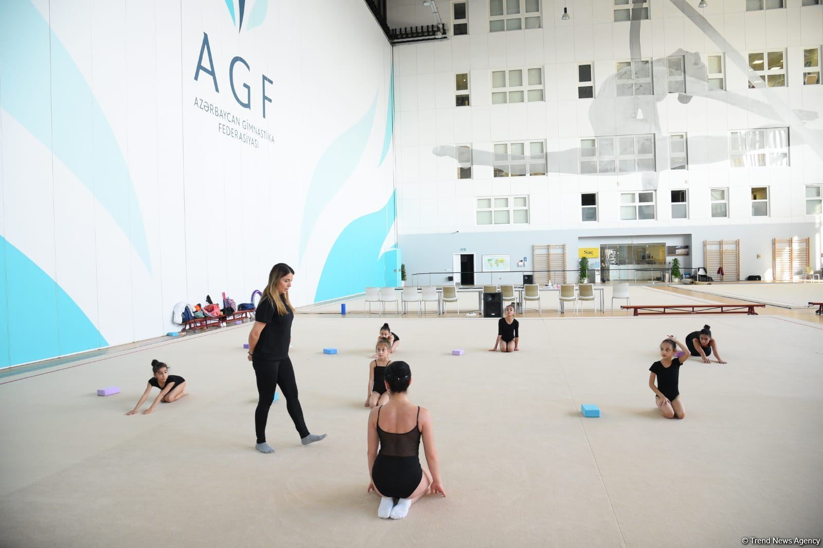 Milli Gimnastika Arenasında Gəncə və Masallı idmançılarının təlim-məşq toplanışı keçirilir (FOTO)
