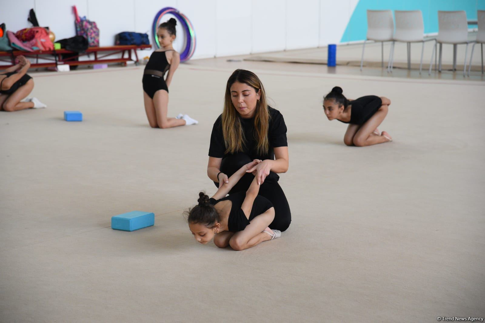 Milli Gimnastika Arenasında Gəncə və Masallı idmançılarının təlim-məşq toplanışı keçirilir (FOTO)