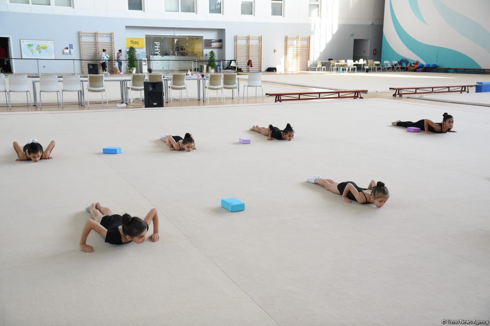 Milli Gimnastika Arenasında Gəncə və Masallı idmançılarının təlim-məşq toplanışı keçirilir (FOTO)
