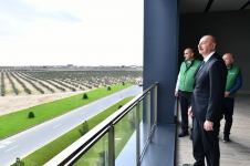 Prezident İlham Əliyev Zirə qəsəbəsində zeytun yağı və süfrəlik zeytun məhsullarının emalı zavodunun açılışında iştirak edib (FOTO/VİDEO) (YENİLƏNİB)