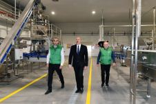 Prezident İlham Əliyev Zirə qəsəbəsində zeytun yağı və süfrəlik zeytun məhsullarının emalı zavodunun açılışında iştirak edib (FOTO/VİDEO) (YENİLƏNİB)