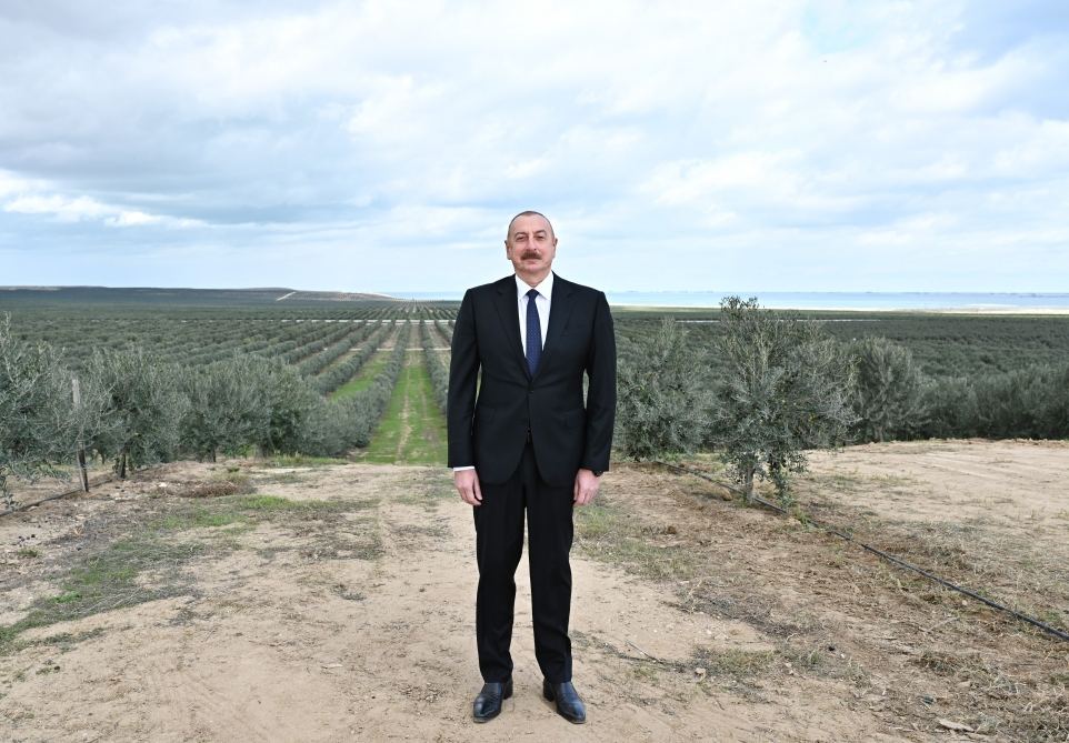 Prezident İlham Əliyev Zirə qəsəbəsində zeytun yağı və süfrəlik zeytun məhsullarının emalı zavodunun açılışında iştirak edib (FOTO/VİDEO) (YENİLƏNİB)