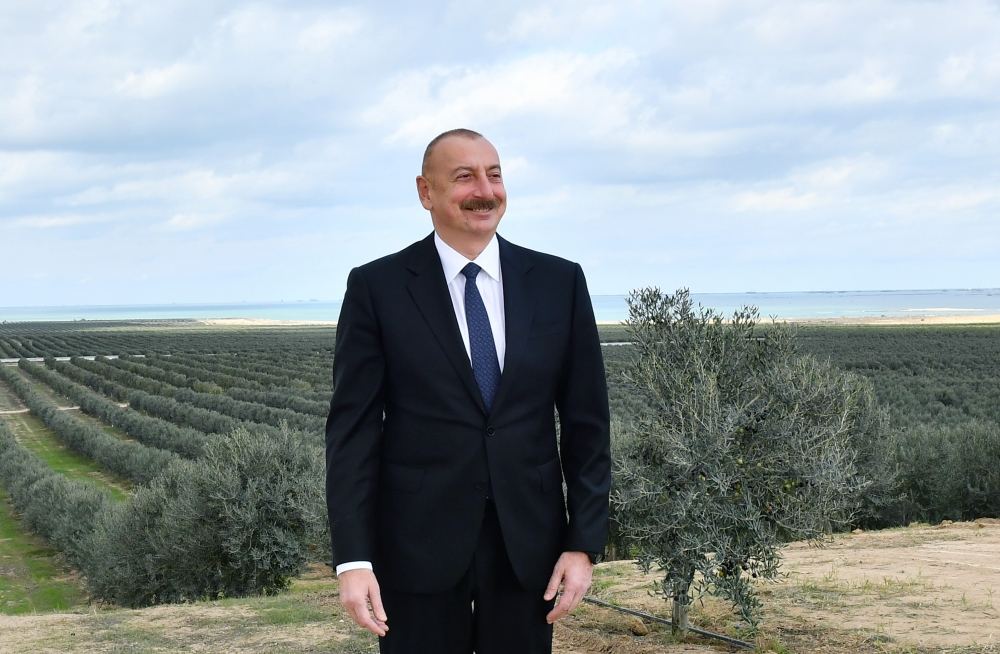 Prezident İlham Əliyev Zirə qəsəbəsində zeytun yağı və süfrəlik zeytun məhsullarının emalı zavodunun açılışında iştirak edib (FOTO/VİDEO) (YENİLƏNİB)
