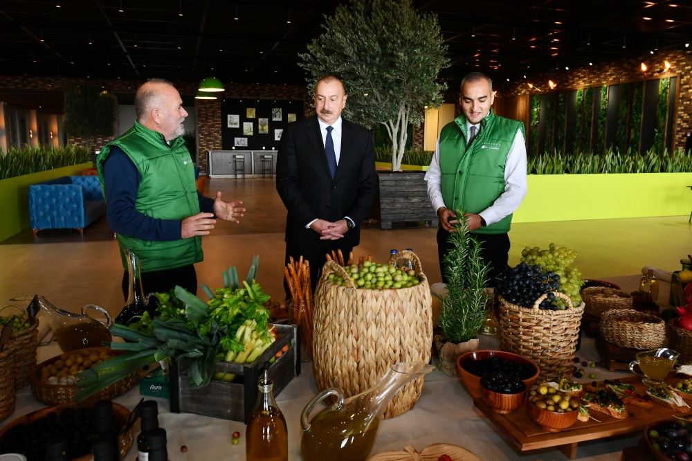 Prezident İlham Əliyev Zirə qəsəbəsində zeytun yağı və süfrəlik zeytun məhsullarının emalı zavodunun açılışında iştirak edib (FOTO/VİDEO) (YENİLƏNİB)