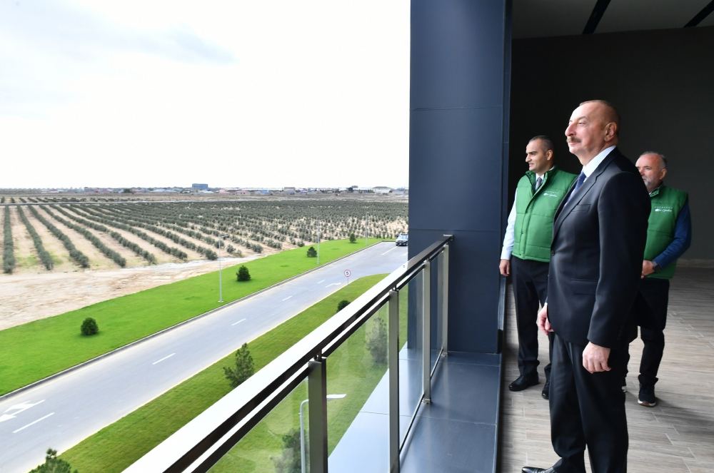 Prezident İlham Əliyev Zirə qəsəbəsində zeytun yağı və süfrəlik zeytun məhsullarının emalı zavodunun açılışında iştirak edib (FOTO/VİDEO) (YENİLƏNİB)