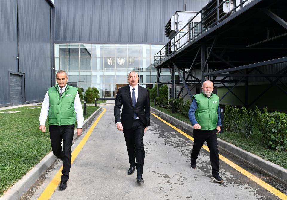 Prezident İlham Əliyev Zirə qəsəbəsində zeytun yağı və süfrəlik zeytun məhsullarının emalı zavodunun açılışında iştirak edib (FOTO/VİDEO) (YENİLƏNİB)