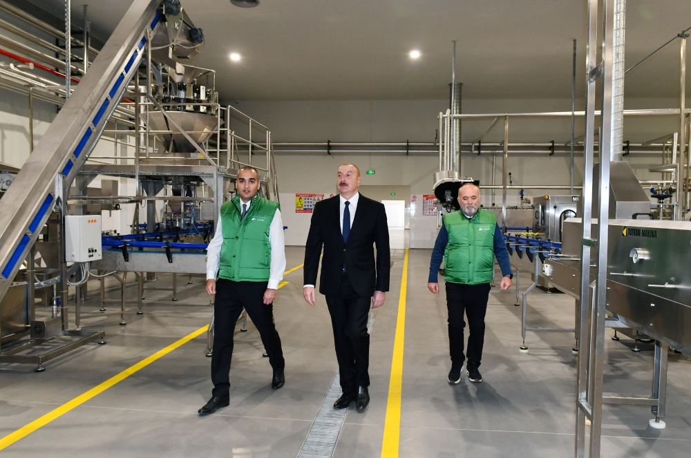 Prezident İlham Əliyev Zirə qəsəbəsində zeytun yağı və süfrəlik zeytun məhsullarının emalı zavodunun açılışında iştirak edib (FOTO/VİDEO) (YENİLƏNİB)
