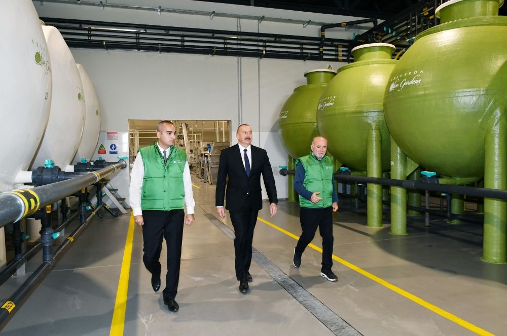 Prezident İlham Əliyev Zirə qəsəbəsində zeytun yağı və süfrəlik zeytun məhsullarının emalı zavodunun açılışında iştirak edib (FOTO/VİDEO) (YENİLƏNİB)