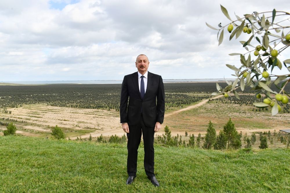 Prezident İlham Əliyev Zirə qəsəbəsində zeytun yağı və süfrəlik zeytun məhsullarının emalı zavodunun açılışında iştirak edib (FOTO/VİDEO) (YENİLƏNİB)