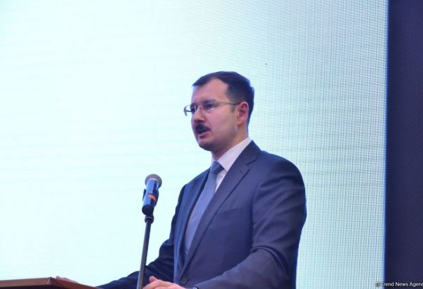 Azərbaycanda İT sahəsinə maraq əhəmiyyətli dərəcədə artıb - Nazir müavini