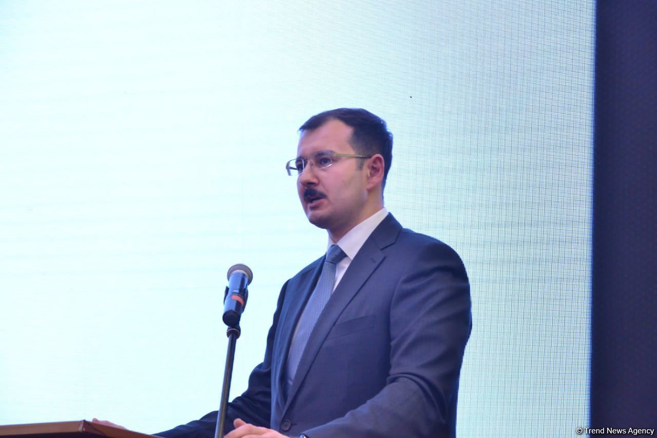Azərbaycanda İT sahəsinə maraq əhəmiyyətli dərəcədə artıb - Nazir müavini