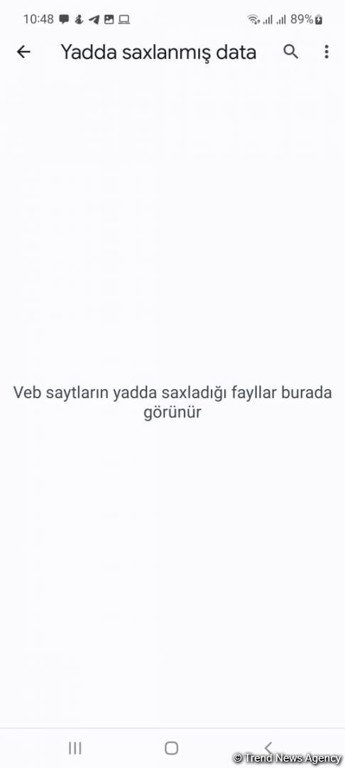 Brauzerin sayt datasını necə təmizləmək olar? (FOTO)