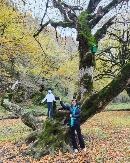 Heydər Əliyev Fondunun vitse-prezidenti Leyla Əliyevanın iştirakı ilə Şahdağ Milli Parkının İsmayıllı bölməsinə ilk marallar buraxılıb (FOTO/VİDEO)
