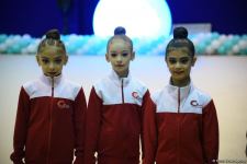 Bədii gimnastika üzrə 27-ci və aerobika gimnastikası üzrə 6-cı Bakı çempionatının yarışları başa çatıb (FOTO)