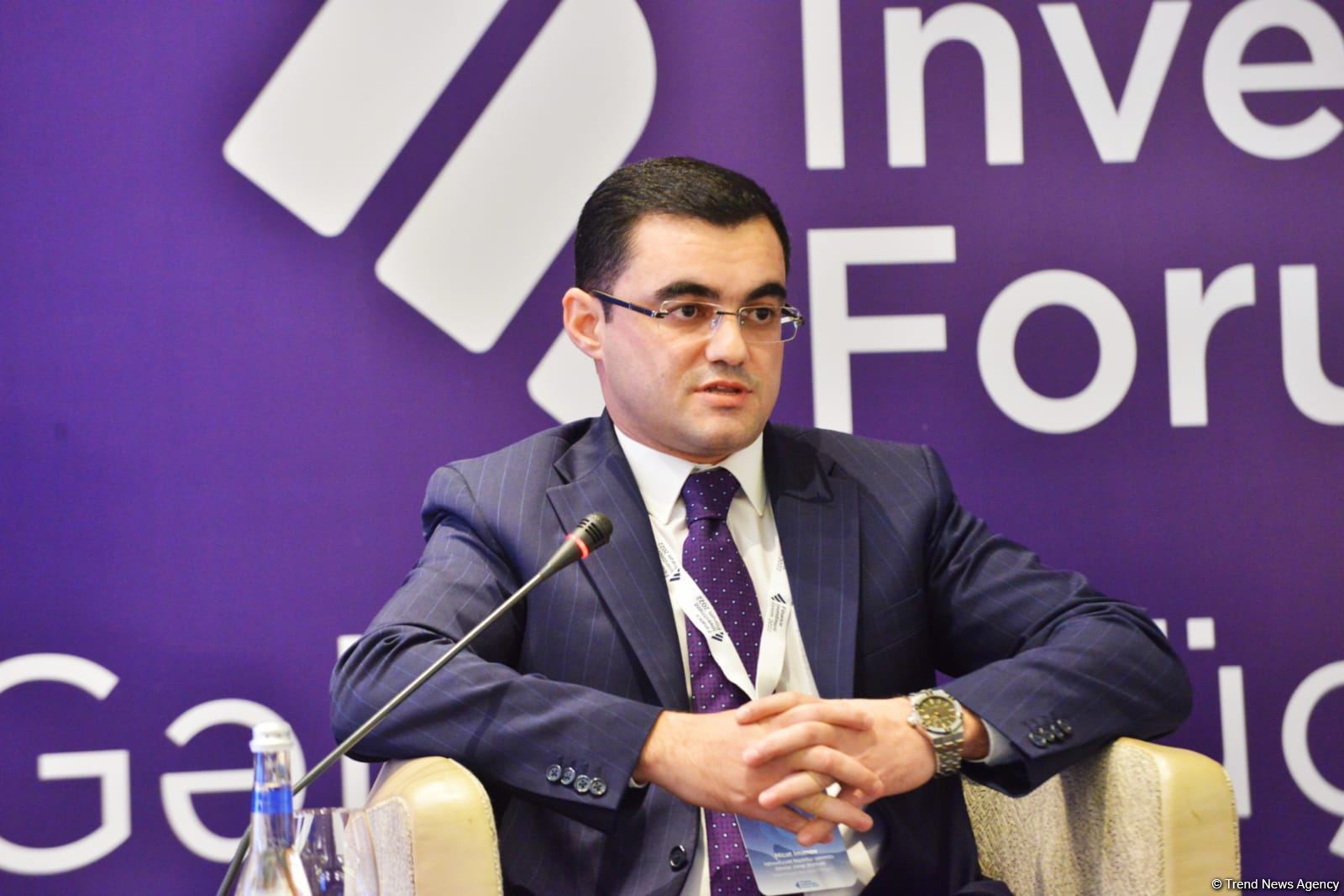 Azərbaycanda iqtisadi zonalarda əlverişli biznes mühiti yaradılıb - idarə rəisi