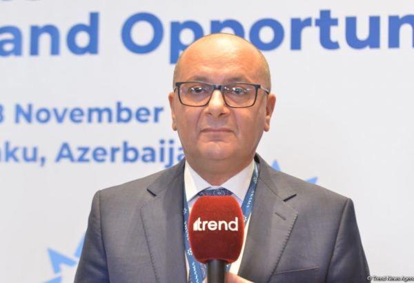 ANAMA sədri mina partlayışları ilə bağlı vətəndaşlara müraciət edib
