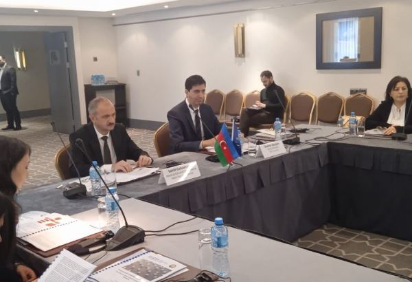 Azərbaycana pul köçürmələrinin həcmi artır - Vladimir Georgiyev