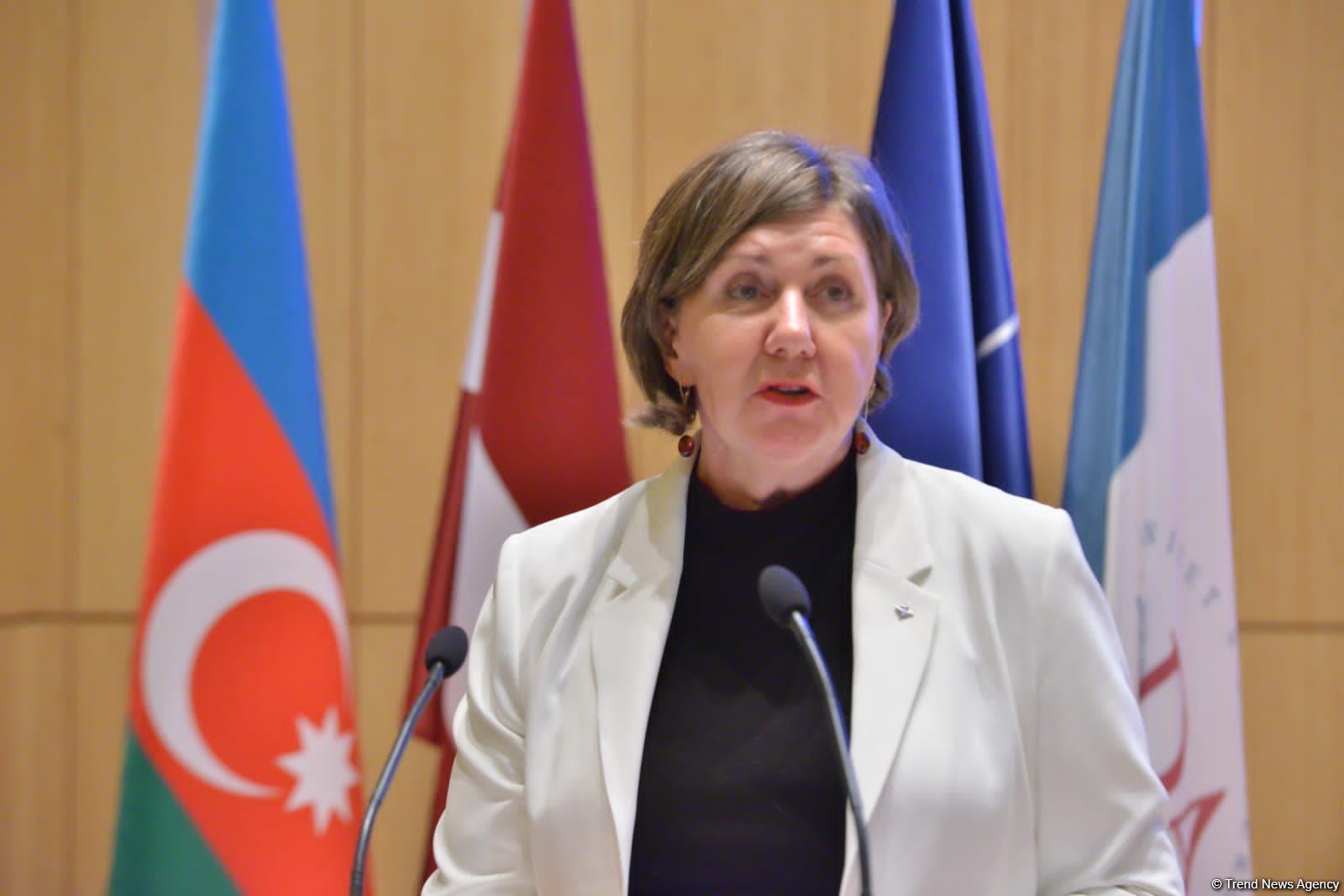 Azərbaycanın gender bərabərliyinə diqqət ayırmasını yüksək qiymətləndiririk - Via Buşa