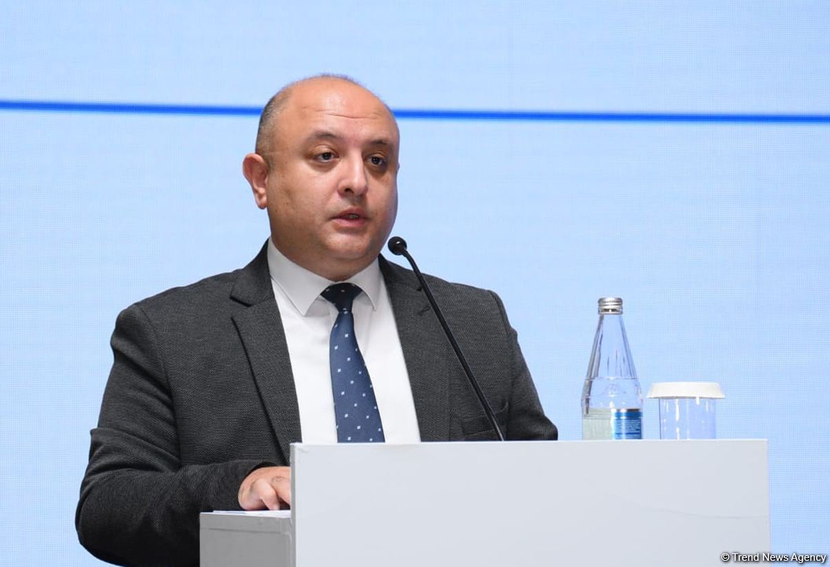 Müasir dövrdə çap mediası çətinliklərlə üzləşib - Kamran Həsənov