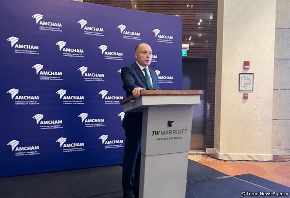 Bu il pasportlaşdırılan abidələrin sayı açıqlanıb