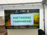 “Kənddən şəhərə” yarmarkasında məhsulların qiymətləri necə dəyişir? (FOTO)