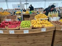 “Kənddən şəhərə” yarmarkasında məhsulların qiymətləri necə dəyişir? (FOTO)