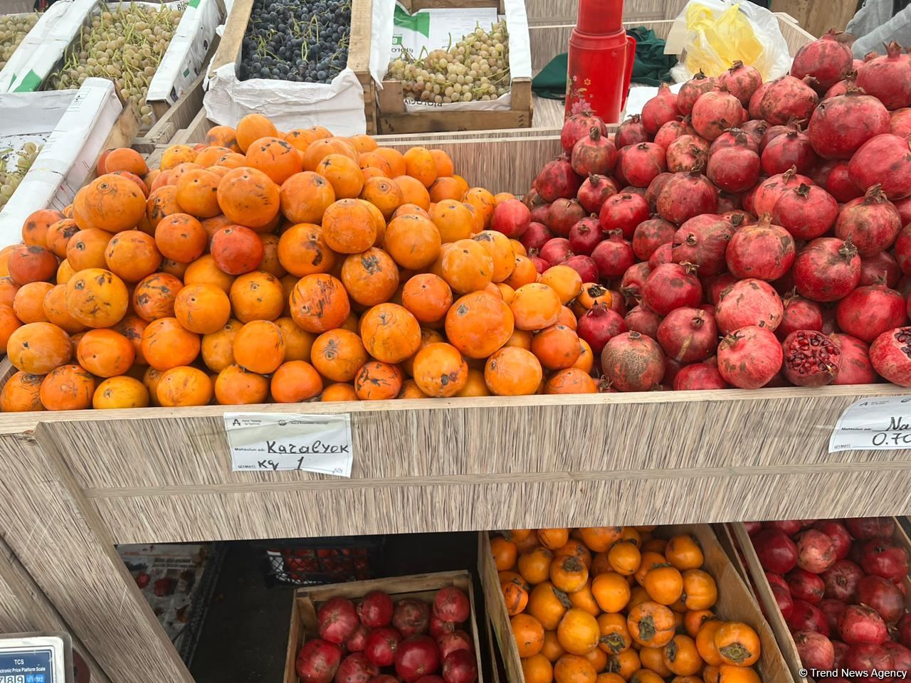 “Kənddən şəhərə” yarmarkasında məhsulların qiymətləri necə dəyişir? (FOTO)